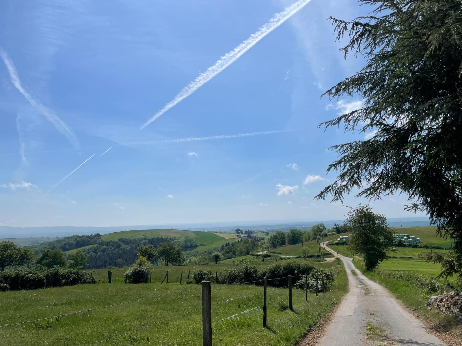 Chemin bordé de verdure