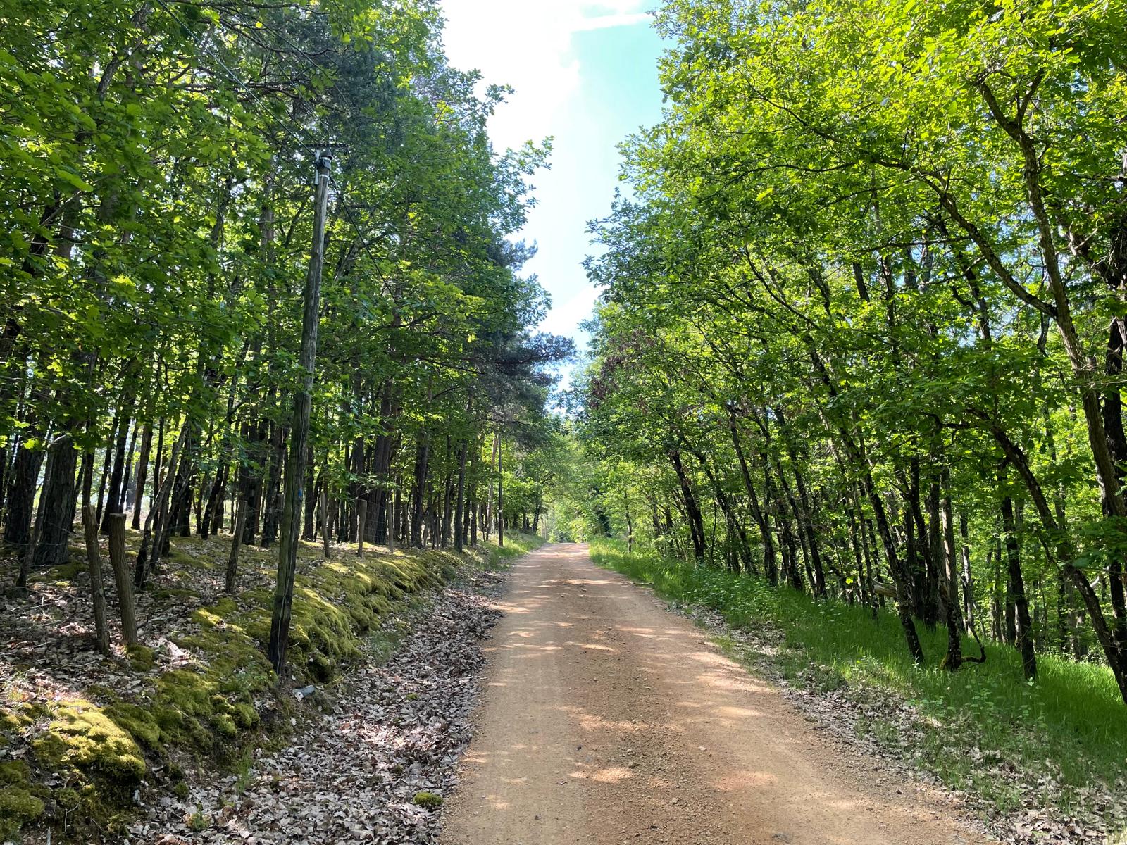 Chemin vers la Loire
